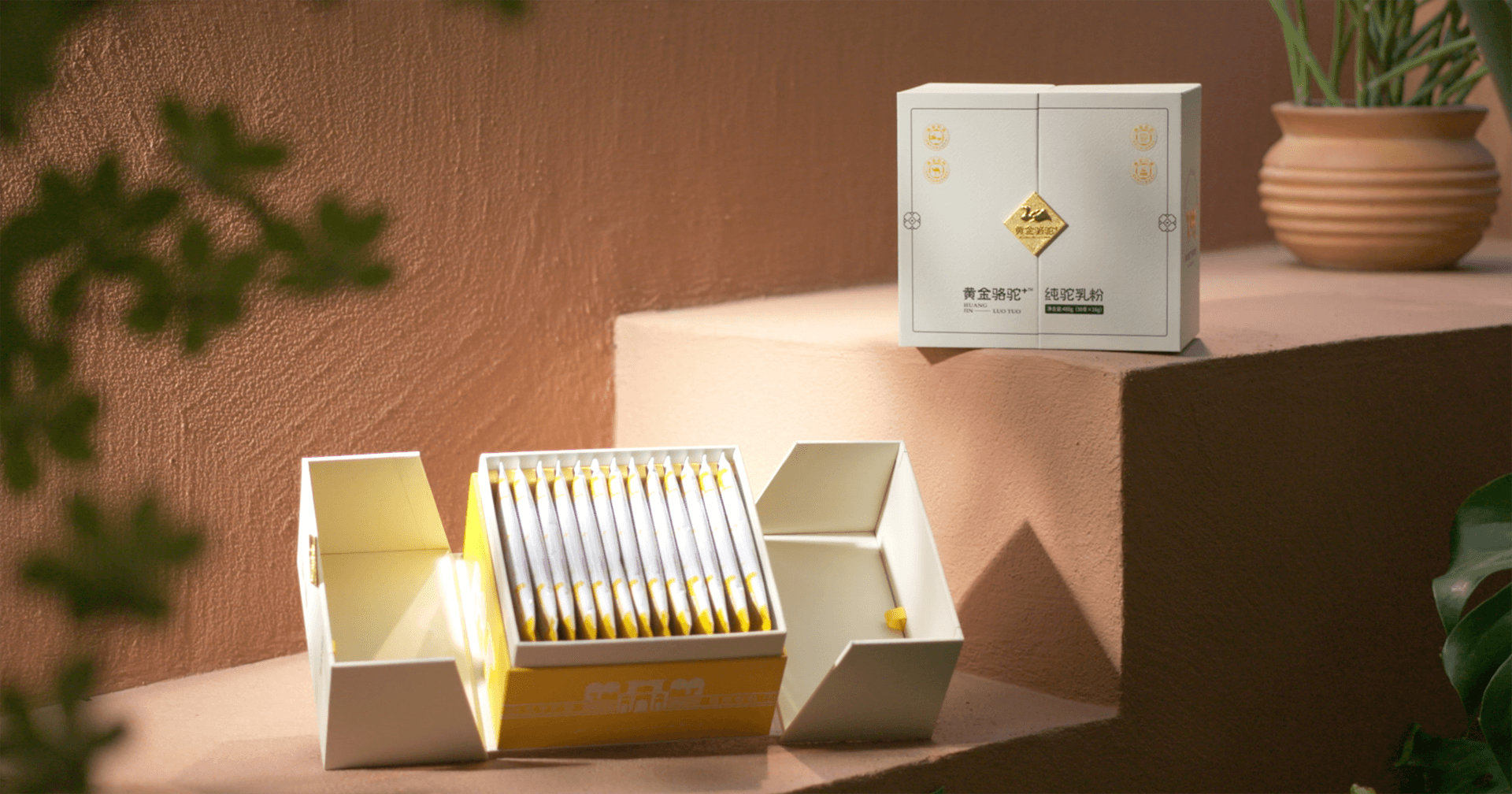 定位小众高端乳粉，抖圈推出驼奶品牌“黄金骆驼+”，角逐乳品新市场！